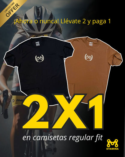 PROMO 2X1 EN REGULAR FIT